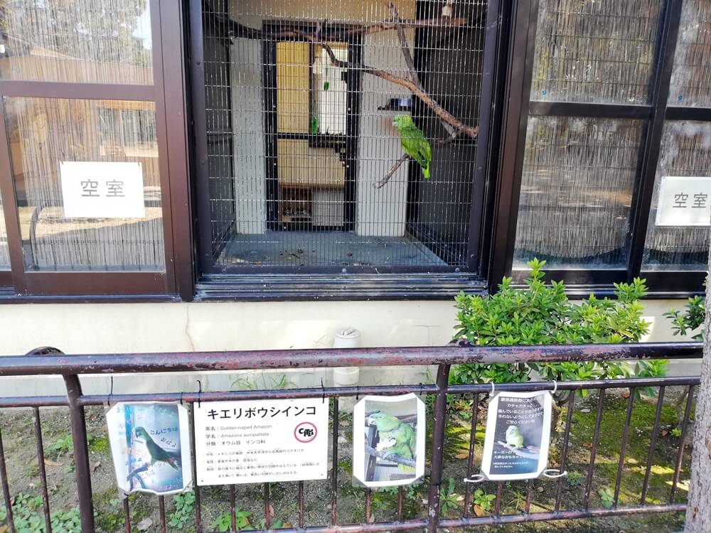 兵庫県　姫路市立動物園
