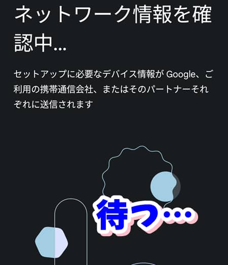 eSIM設定中にネットワーク情報を確認している待機画面